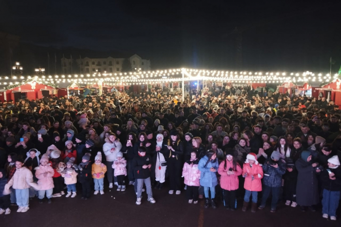    Xakəndidə Həmrəylik Günü və Yeni il münasibətilə konsert keçirilib   
  