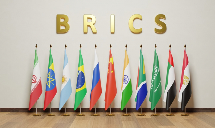 BRICS to review Syria’s membership application if new authorities confirm it