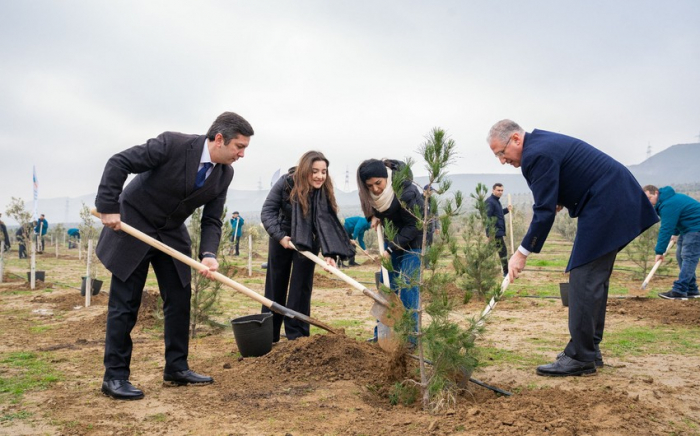 ETSN və COP komandası ağacəkmə aksiyası keçirib  
