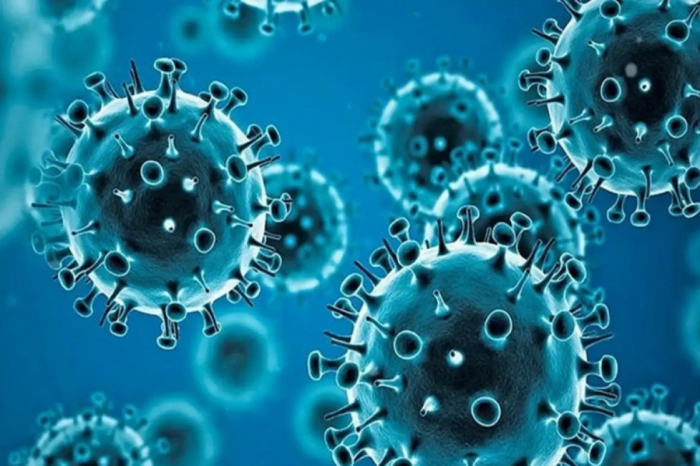 Two cases of metapneumovirus infection detected in Kyrgyzstan