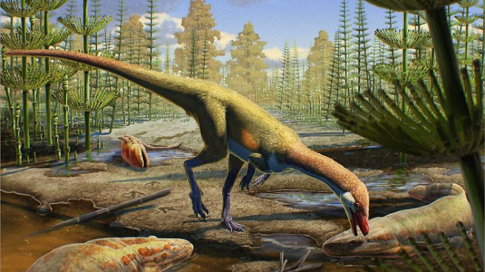   Dinos lebten früher als gedacht auf der Nordhalbkugel  