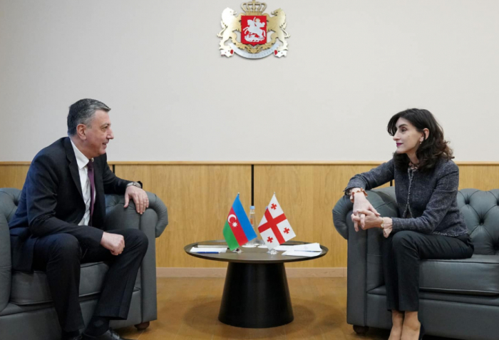 Georgian FM, Azerbaijani Ambassador “positively” assess “wide spectrum” of strategic partnership