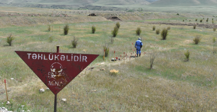 Nearly 250 landmines defused in Azerbaijan’s liberated lands last week