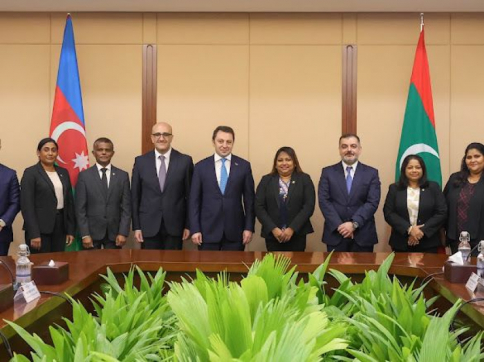 Azerbaijani government mission visits Maldives