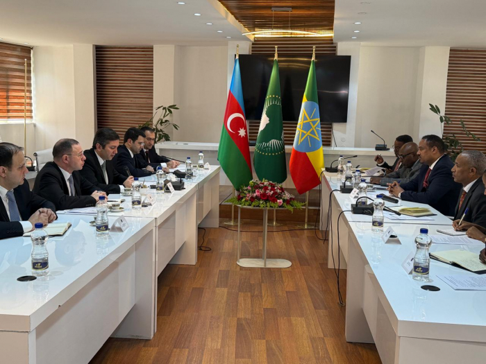 Azerbaijan, Ethiopia discuss cooperation in number of areas