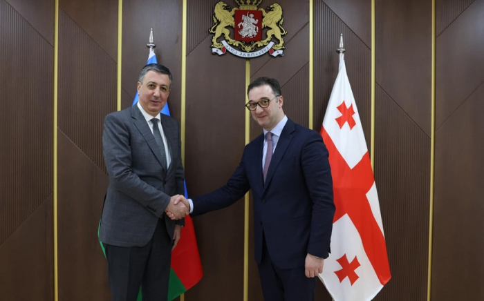 Azerbaijan, Georgia discuss economic cooperation