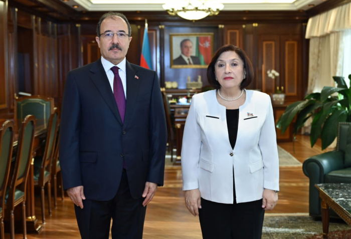 Azerbaijan, Türkiye mull interparliamentary relations