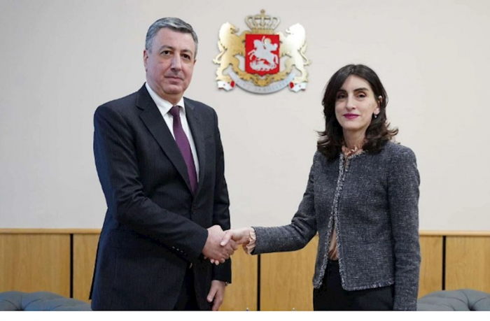 La Ministra de Asuntos Exteriores de Georgia efectúa visita a Azerbaiyán 