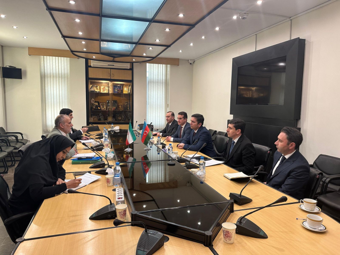 Azerbaijani Deputy FM takes part in meeting of ECO Committee