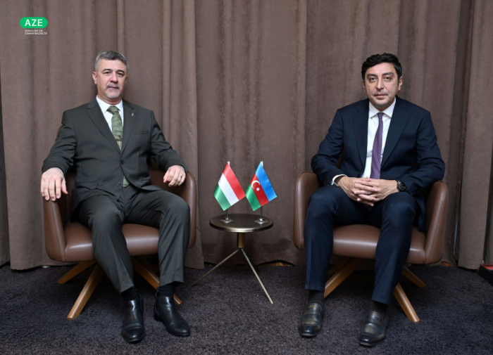 Azerbaijan, Hungary explore prospects for sports cooperation