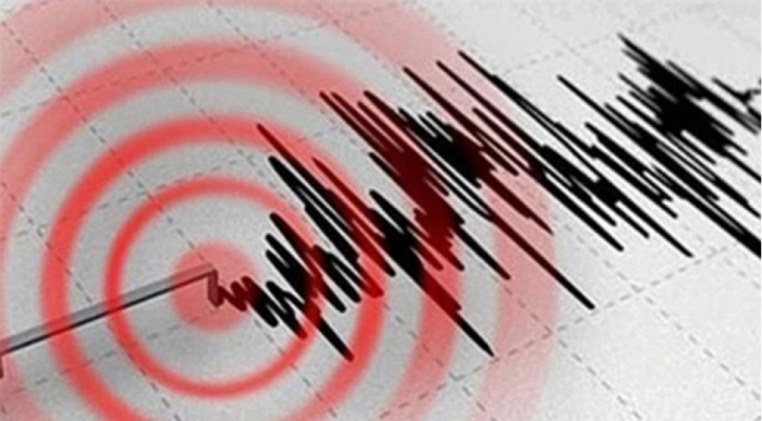   Starkes Erdbeben vor der Küste Indonesiens  