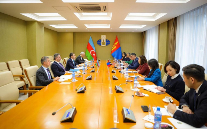 Azerbaijan government delegation holds discussions in Mongolia