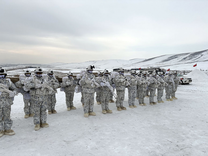 Azerbaijani Army holds Winter Exercise 2025 distinguished visitors day in Turkiye