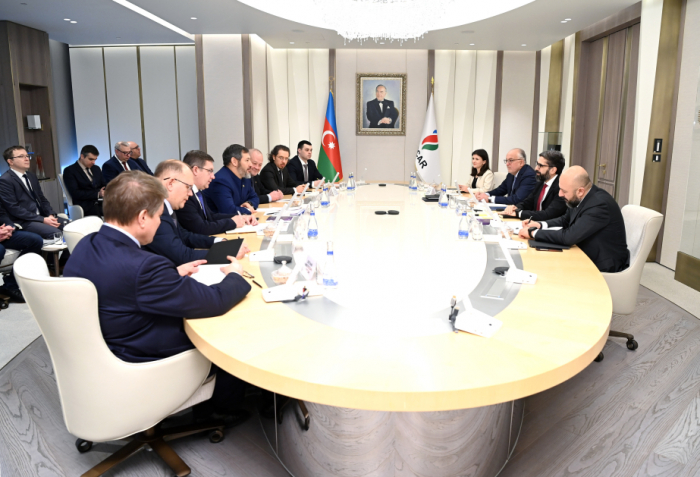 SOCAR, Tatarstan’s companies explore cooperation prospects