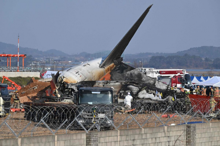 South Korea orders airports to install bird detection cameras