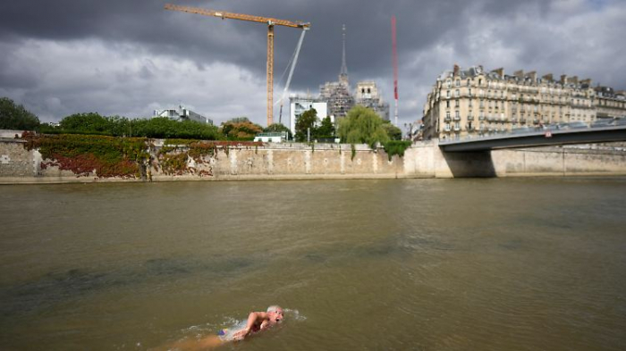 Seltene Muschelarten kehren in die Seine zurück