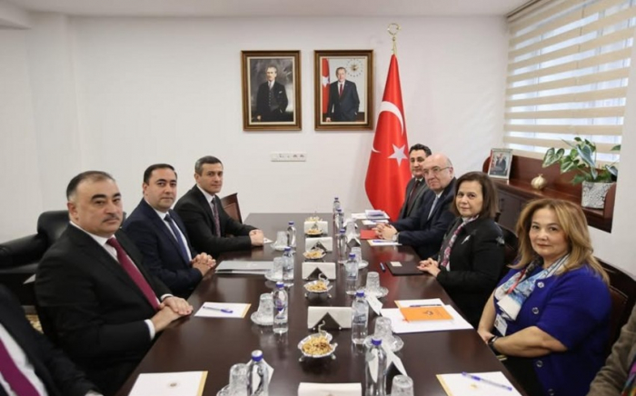 Turkish, Azerbaijani diplomats mull regional issues