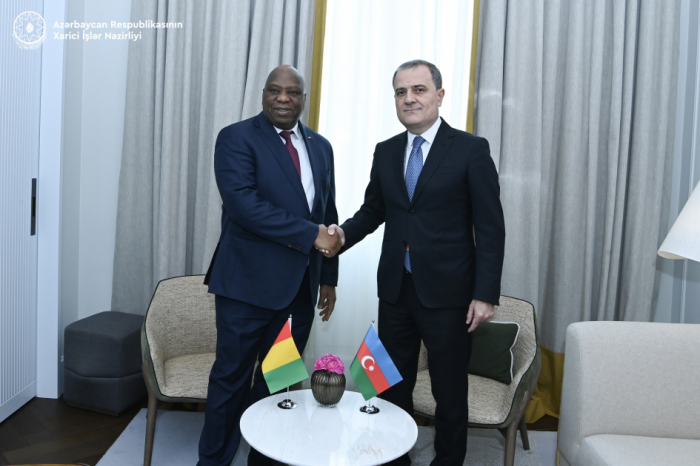 Azerbaijan, Guinea explore collaboration opportunities in various sectors