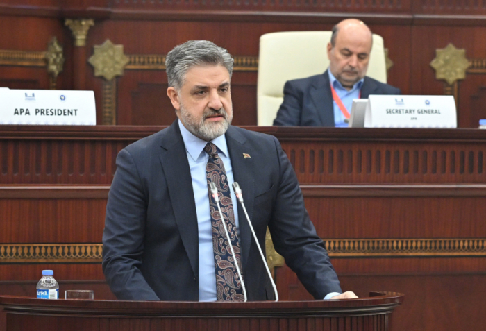 Azerbaijan plays a crucial role in regional stability -Turkish parliamentarian 