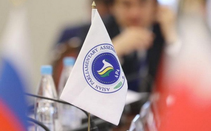   APA discusses draft Baku declaration at 15th plenary session  