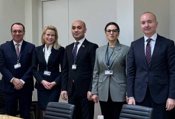   Aserbaidschanische Parlamentsdelegation trifft sich mit der Präsidentin der Parlamentarischen Versammlung der OSZE  