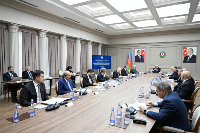 Economic Council and Supervisory Board of Azerbaijan Investment Holding convene for joint meeting