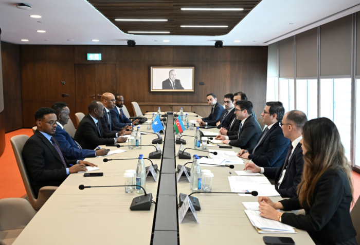 Azerbaijan, Somalia explore prospects for cooperation