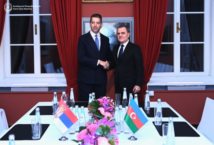   Azerbaijani, Serbian FMs meet in Munich  