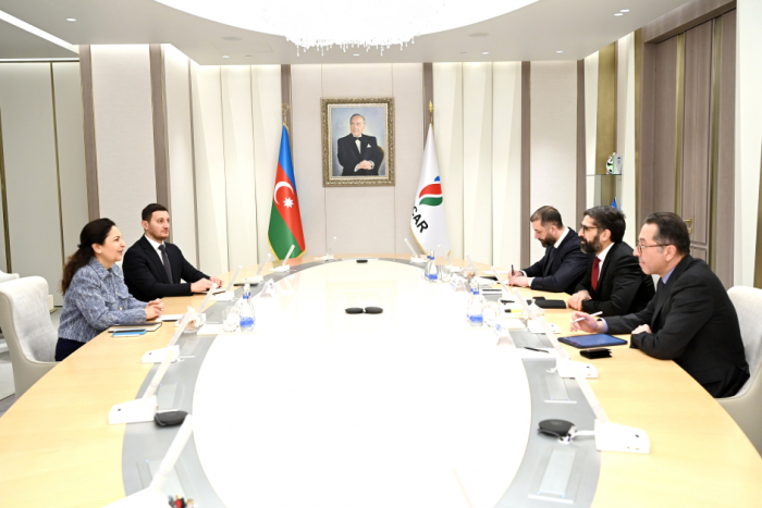   SOCAR, ADB discuss cooperation prospects  