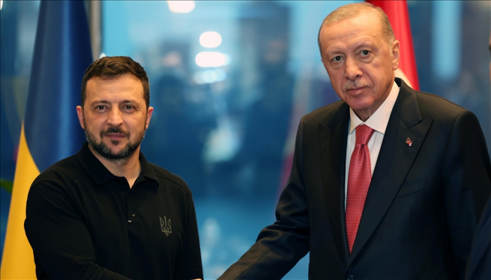 Erdogan to meet with Ukrainian counterpart Zelenskyy in Ankara