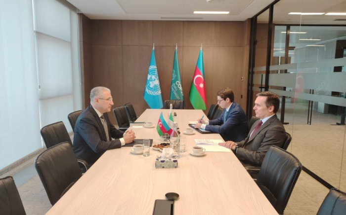 Azerbaijan, Italy discuss prospects for green future