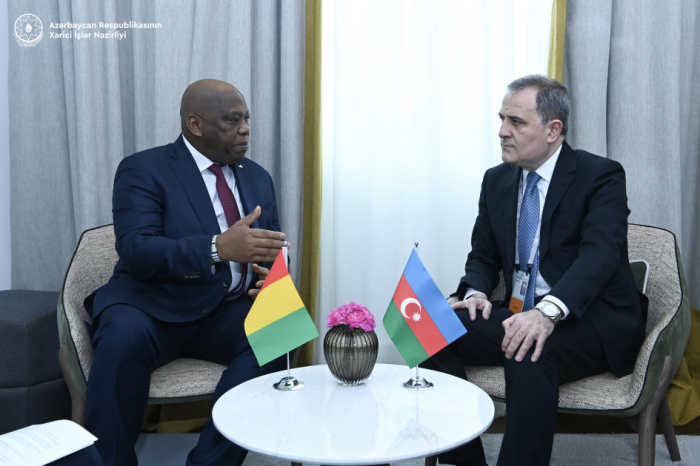   Azerbaiyán y Guinea discuten oportunidades de cooperación en varias esferas  