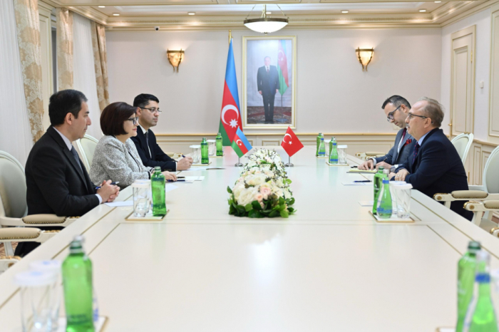 El recién nombrado Embajador de Türkiye en Azerbaiyán visita Milli Majlis