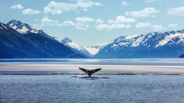 Alaska: un avion avec 10 personnes à bord porté disparu