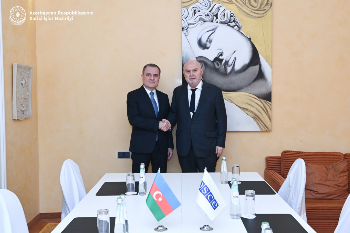 Jeyhun Bayramov meets with OSCE Secretary General