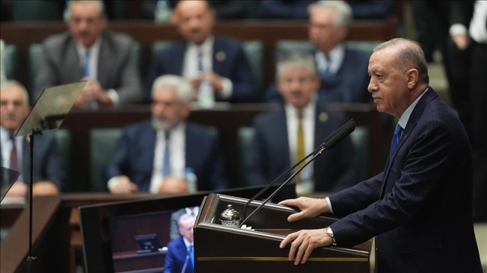 Selon Erdogan, la "catastrophe du siècle" a coûté 150 milliards de dollars à l