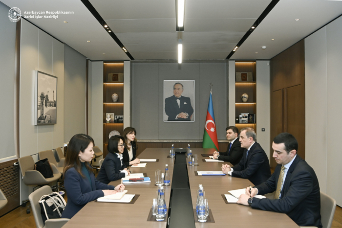 Azerbaijan, UN explore current state and prospects of relations