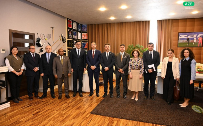 Azerbaijan, D-8 explore collaboration in youth and sports