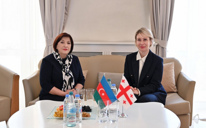 Azerbaijani parliament speaker arrives in Georgia