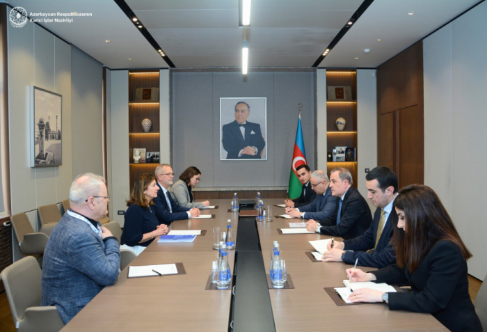 Azerbaijani FM highlights the need for global cooperation to address missing persons issue