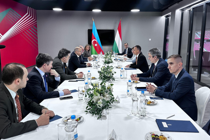   Budapest meeting highlights prospects for gas supplies from Azerbaijan to European countries  