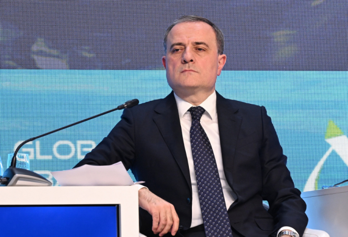  Azerbaijani FM: Commitment to multilateralism is one of our main goals 