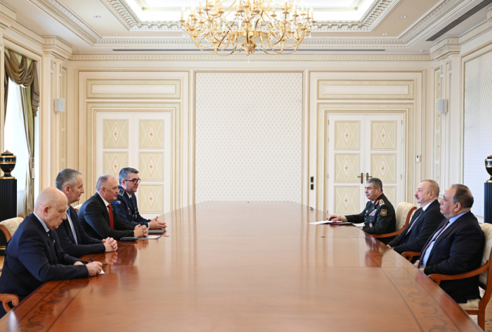   President Ilham Aliyev received Deputy Chairman of Council of Ministers of Bosnia and Herzegovina  