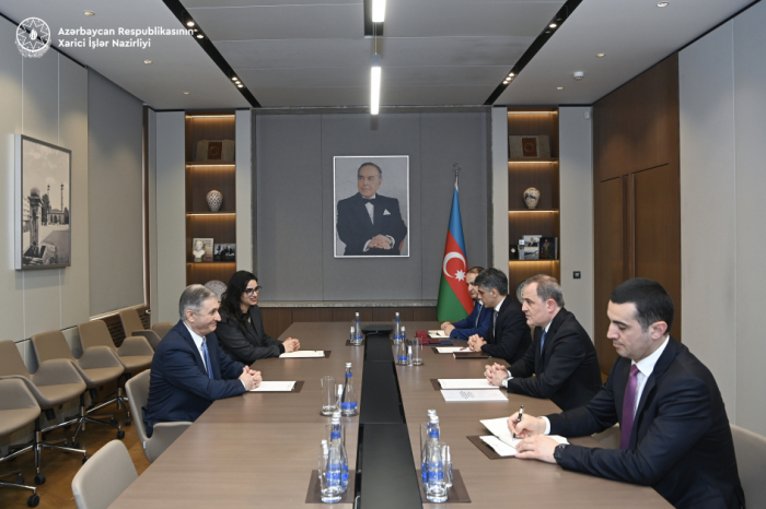 Azerbaijani FM meets with outgoing Palestinian ambassador