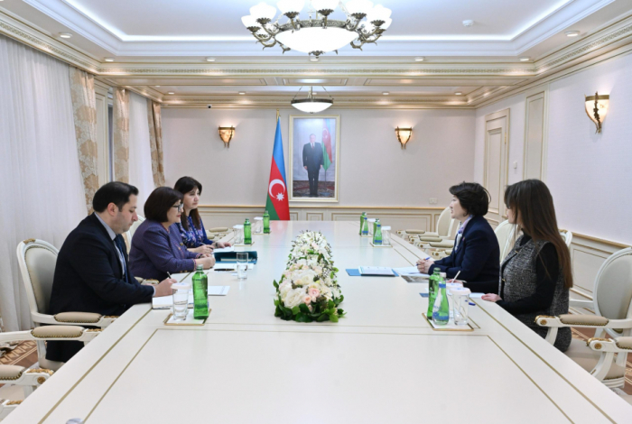 Speaker of Azerbaijani Parliament meets with Turkic Culture and Heritage Foundation president