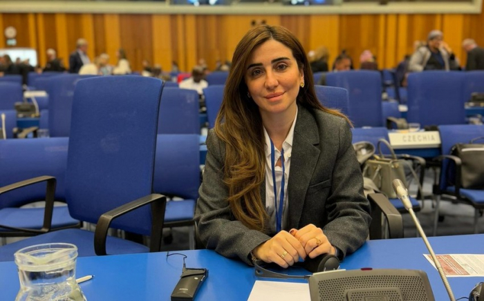 Azerbaijani Prosecutor General’s office representative attends UN Commission meeting in Vienna