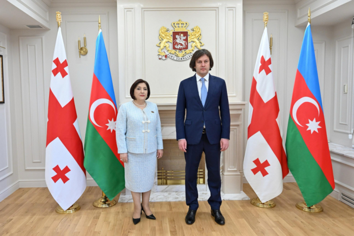 Se discutieron cuestiones de cooperación económica entre Azerbaiyán y Georgia