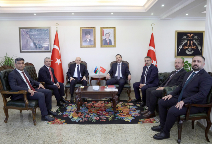 Azerbaijani, Turkish energy ministers meet in Iğdır