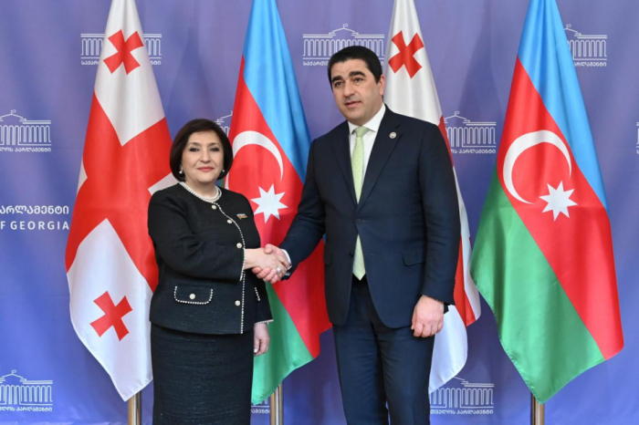 Azerbaijani and Georgian parliament speakers discuss regional cooperation