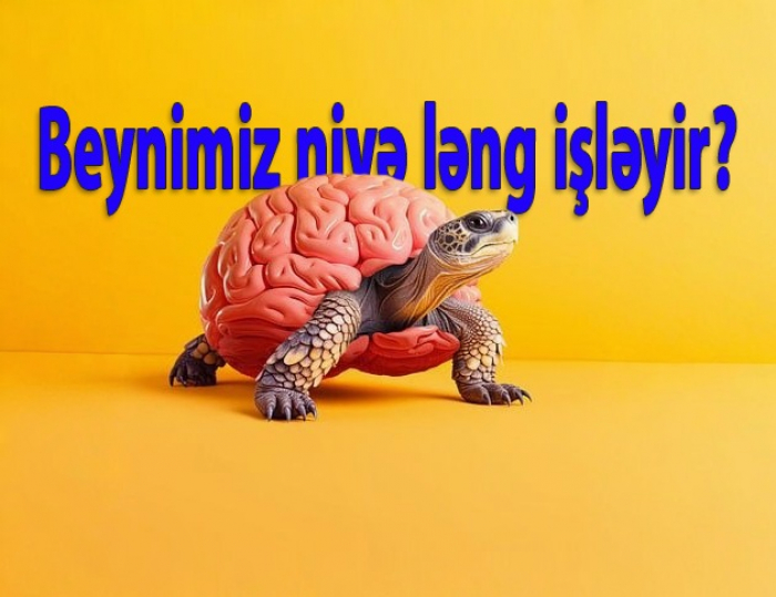       Bir dəfəyə bir fikir:    Beynimiz çox ləng işləyir   